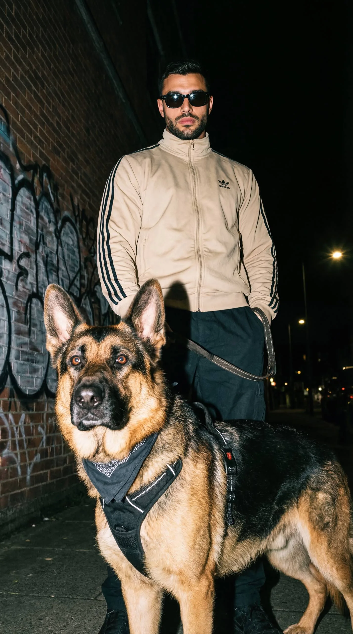 Мужчина и немецкая овчарка, gritty street