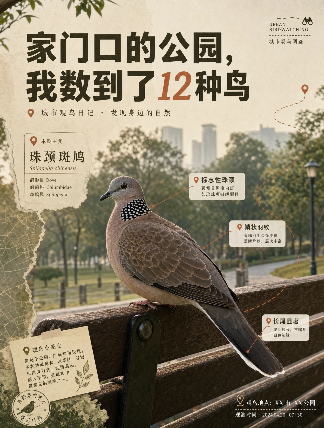 A striking Xiaohongshu cover page, 1080x1440px