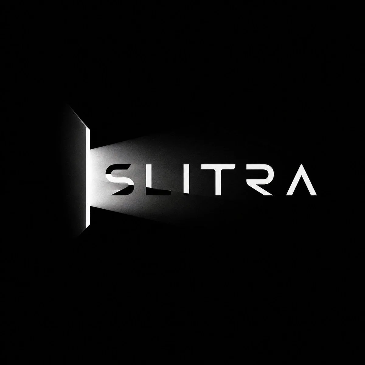 Create a premium black-and-white optical logo for a ficti...