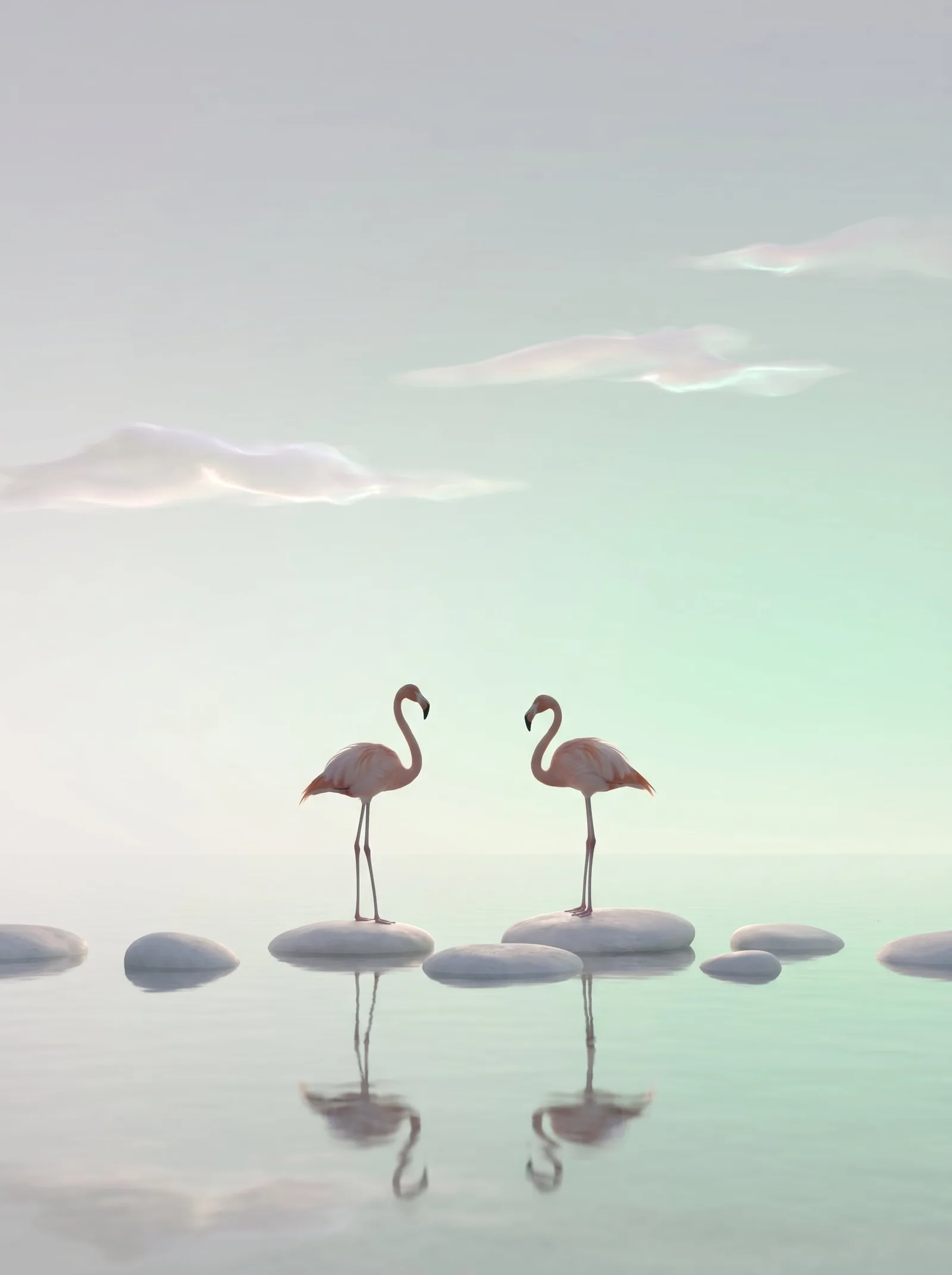 Two leisurely flamingos stood motionless on a smooth patch of light-c…