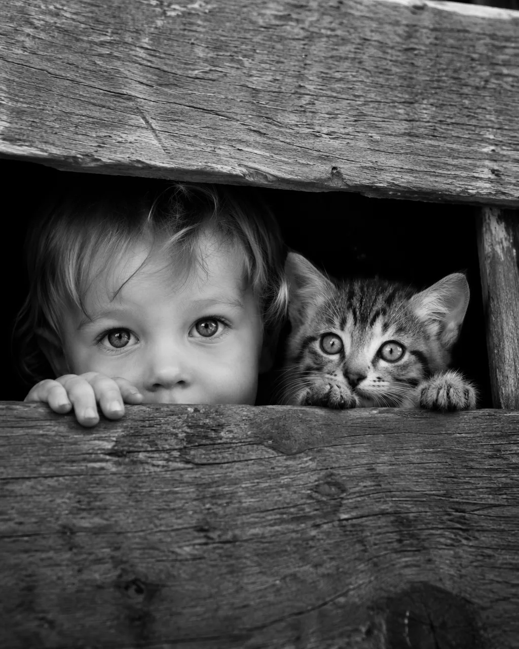 Black and white documentary photography, close-up shot, a...