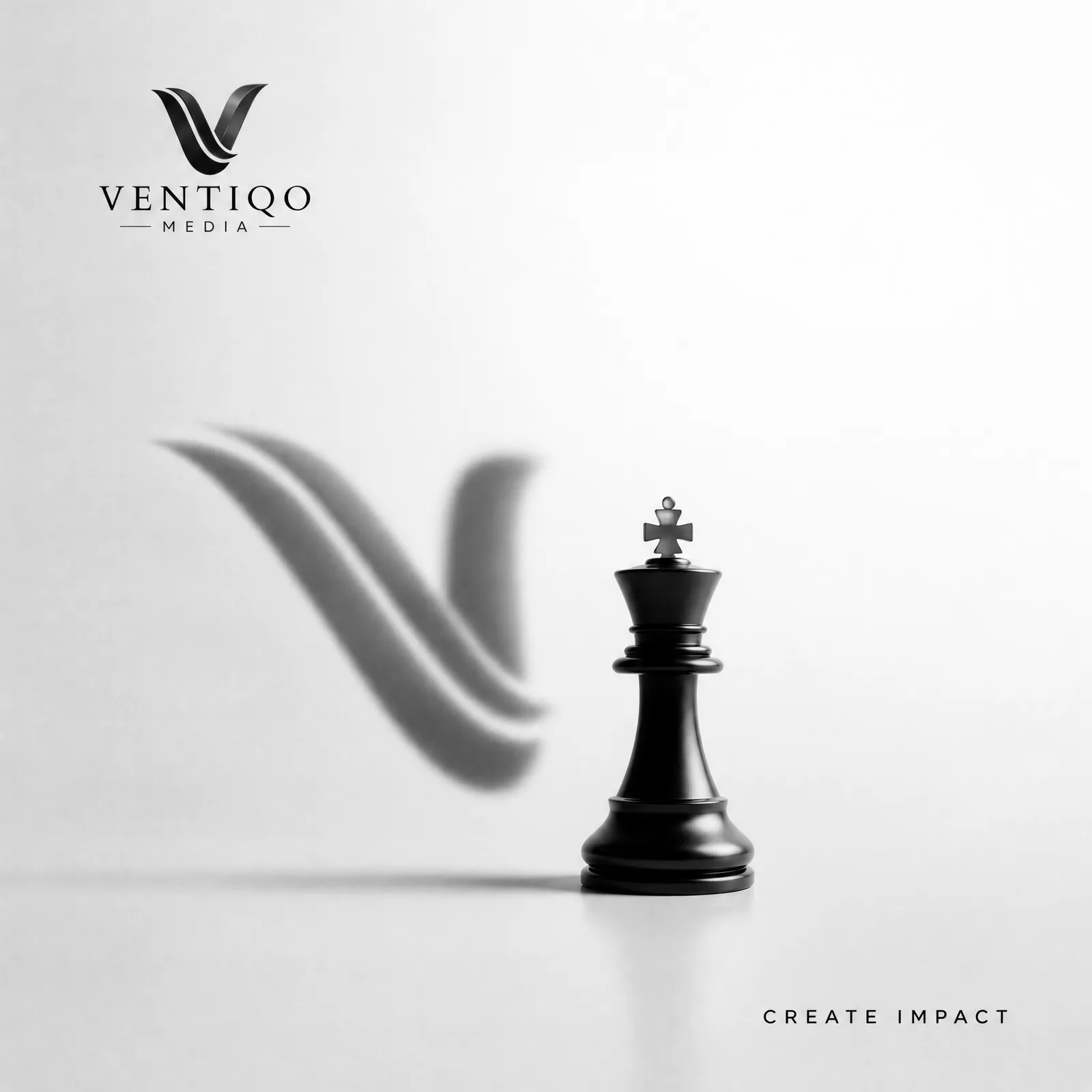 Visualise INPUT: Ventiqo Media