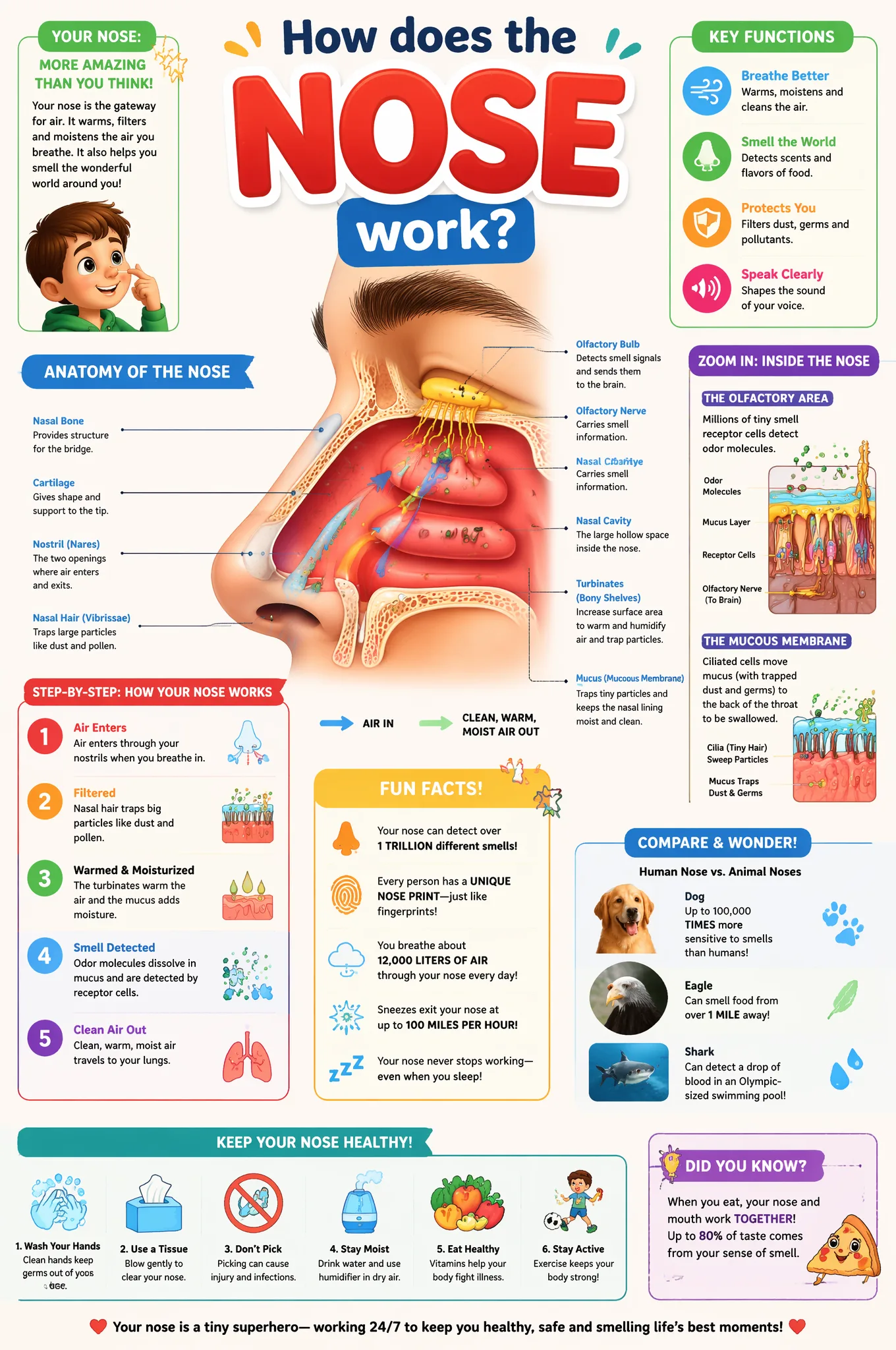 Just replace NOSECreate a highly detailed, colorful educa...